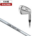 タイトリスト T200 アイアンセット 6本組 (#5-Pw) 2023年モデル N.S.PRO 105T S スチールシャフト 【日本正規品】