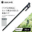 スノーピーク snow peak ソリッドステーク 30 6本セット ペグ 30cm 鍛造ペグ 鍛造 燕三条 テント キャンプ ソリステ R1031 R-103-1