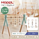 HOPPL ベビージムセット シーグリーン/ブルー BTL-BGS-SG-BL ホップル メーカー直送