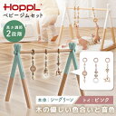 HOPPL ベビージムセット シーグリーン/ピンク BTL-BGS-SG-PI ホップル メーカー直送