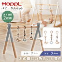 HOPPL ベビージムセット グレー/ブルー BTL-BGS-GY-BL ホップル メーカー直送