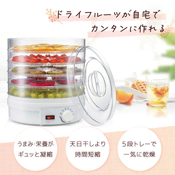 総合通販PREMOA 楽天市場店の電動食品乾燥機 DL-240607 DigitalLand｜アングル2
