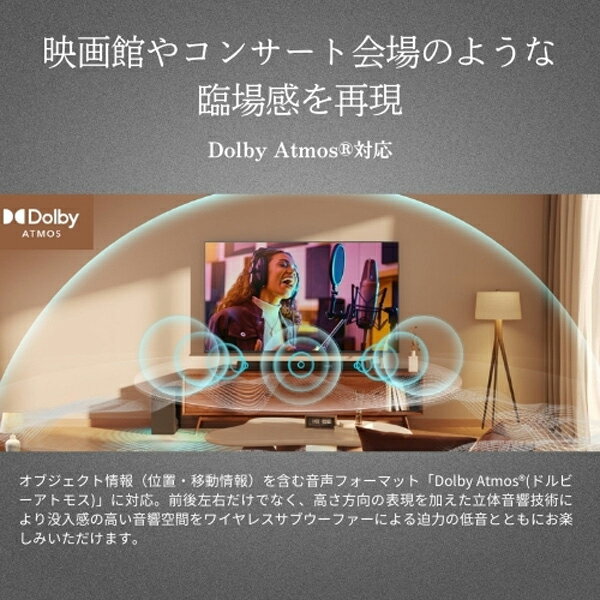 TS3100Q TVS REGZA [3.1c...の紹介画像3