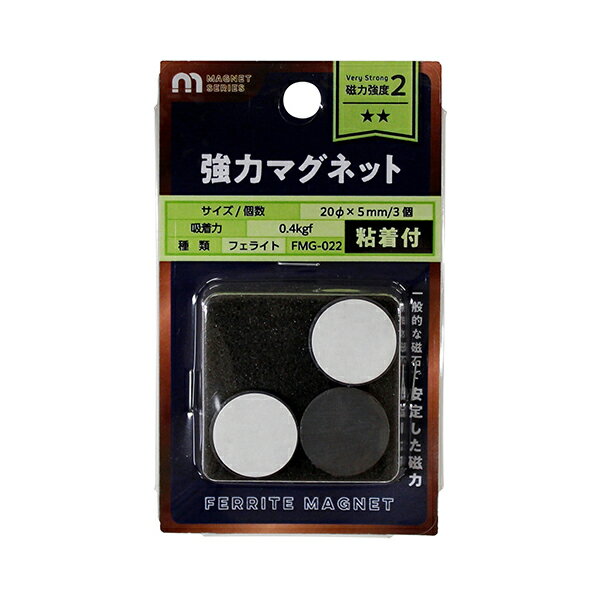 FMG-022 �µ����� [�ޥ��ͥåȰ�����Ǵ��]