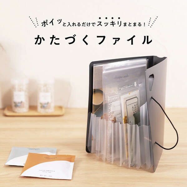 A5 Size - DF-KTDF-A5-D Nakabayashi かたづくファイル/A5/ブラック