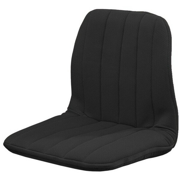 【エントリーでP5倍!20日20:00-27日1:59】 背筋サポートリクライニングチェア 同色2個組 ブラック(0437920) ファミリー・ライフ メーカー直送