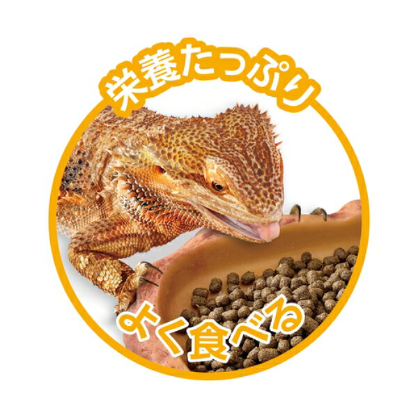 フトアゴブレンドフード 250g ジェックス
