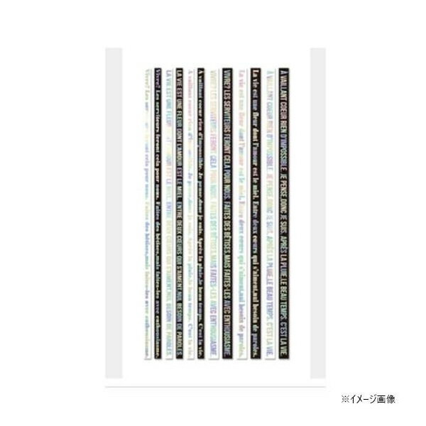 ご注文前にご確認ください※ 商品パッケージや仕様につきまして、予告なく変更されることがございます。商品説明★ フランス語のおしゃれなラインテープ。夏らしくスポーティーにもクールにも使える便利なアイテムです。オーロラがキラキラして貼るだけでアクセントになります。★ 商品の特徴・本製品はジェル専用です。マニキュアは使用できません。・やわらかい素材ですので、剥がし始め等お取り扱いにご注意ください。スペック* シートサイズ：78×104mm* 材質：PE