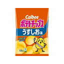 カルビー ポテトチップス うすしお味 55g x16 メーカー直送 プレゼント ギフト