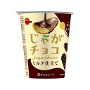 ブルボン じゃがチョコ 37g×12 メーカー直送 プレゼント ギフト