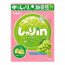 カバヤ食品 カバヤ しゃりinグミ マスカットソーダ 52g×10 メーカー直送 プレゼント ギフト