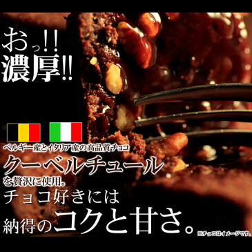 訳あり チョコブラウニー 高級チョコブラウニー どっさり1kg 個包装 (約26個前後) メーカー直送