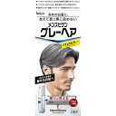 ホーユー メンズビゲン グレーヘア ナチュラルグレー