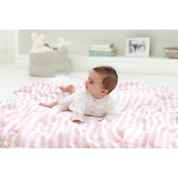 エイデンアンドアネイ スワドルハートブレイカー 2枚 SWADAB4055 aden + anais