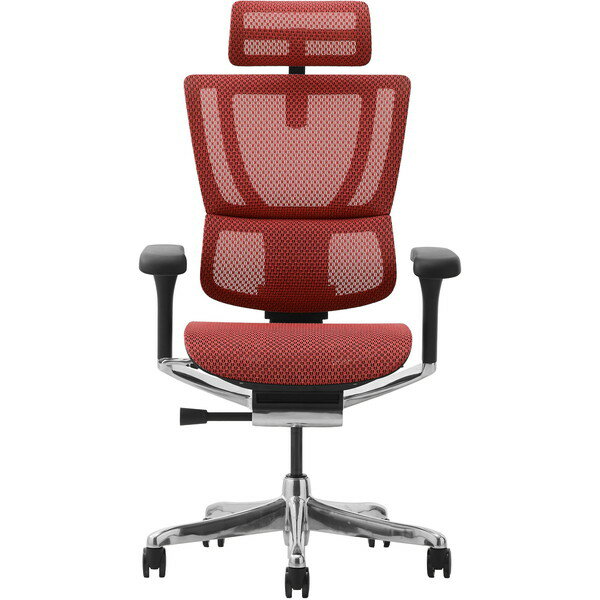 454404 Ergohuman FIT2-HAM-DR-BF-RD زȶ ֥åե졼ߥå [ե] ᡼ľ