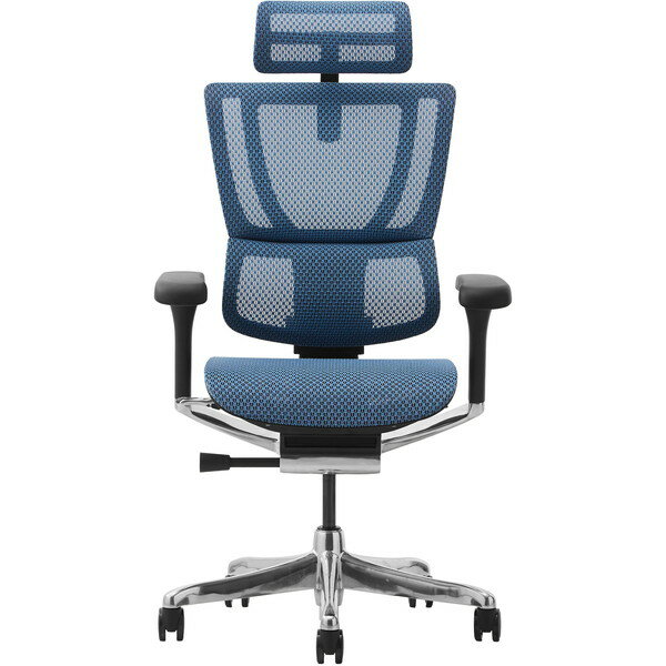 454405 Ergohuman FIT2-HAM-DR-BF-BL زȶ ֥åե졼ߥ֥롼 [ե] ᡼ľ