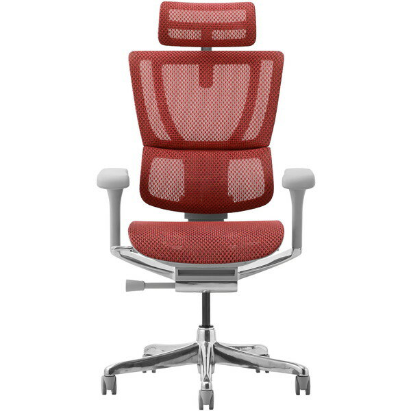 454409 Ergohuman FIT2-HAM-DR-GF-RD زȶ 졼ե졼ߥå [ե] ᡼ľ