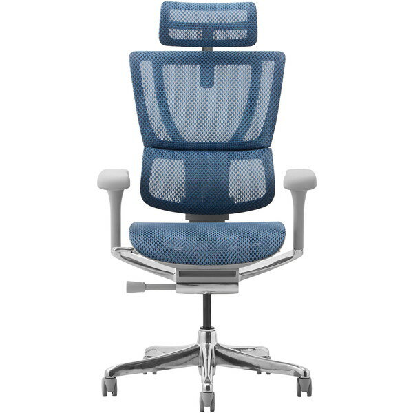 454410 Ergohuman FIT2-HAM-DR-GF-BL زȶ 졼ե졼ߥ֥롼 [ե] ᡼ľ