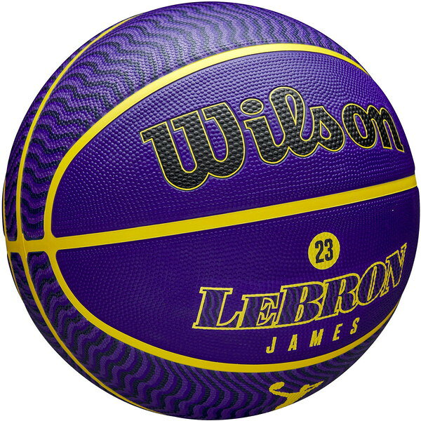 WZ4027601XB7 NBA PLAYER ICON バスケットボール アウトドア LEBRON NE 7号 パープ...