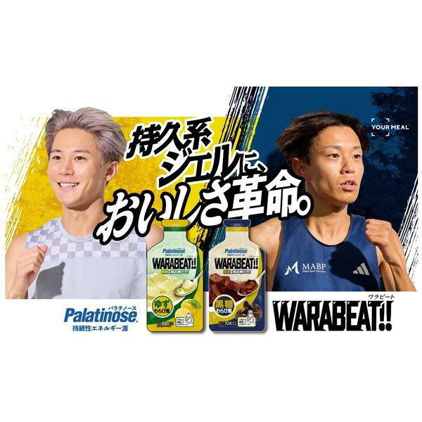 DM三井製糖 WARABEAT!! 黒糖わらび風 1箱(10袋入) マラソン 補給食 ジェル パラチ...