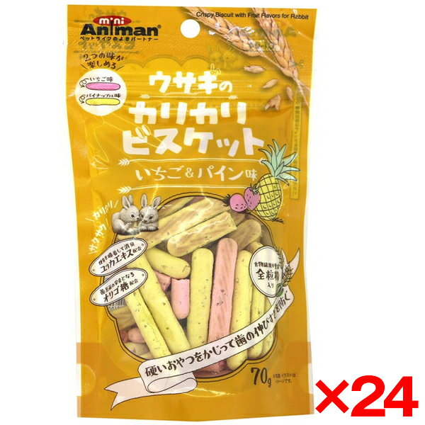 【24個セット】ドギーマン ウサギのカリカリビスケット いちご&パイン味70g メーカ...