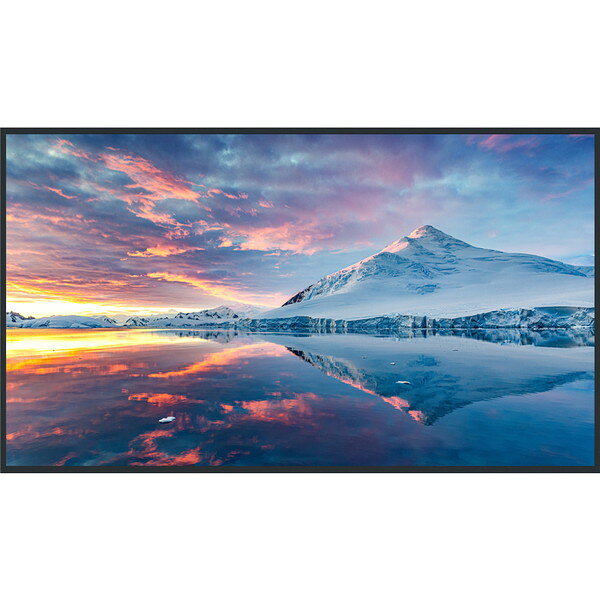 TH-43FQ1J PANASONIC [43型4K液晶エントリーディスプレイ/3840×2160/HDMI、ミニD-sub 15ピン/スピーカー：あり]