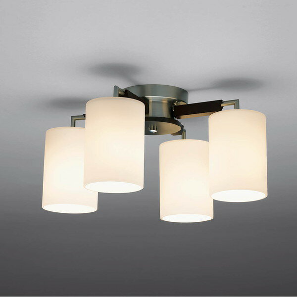 CD-4283-L ���ľ��� [LED�����ǥꥢ (�ŵ忧/��4.5��)]