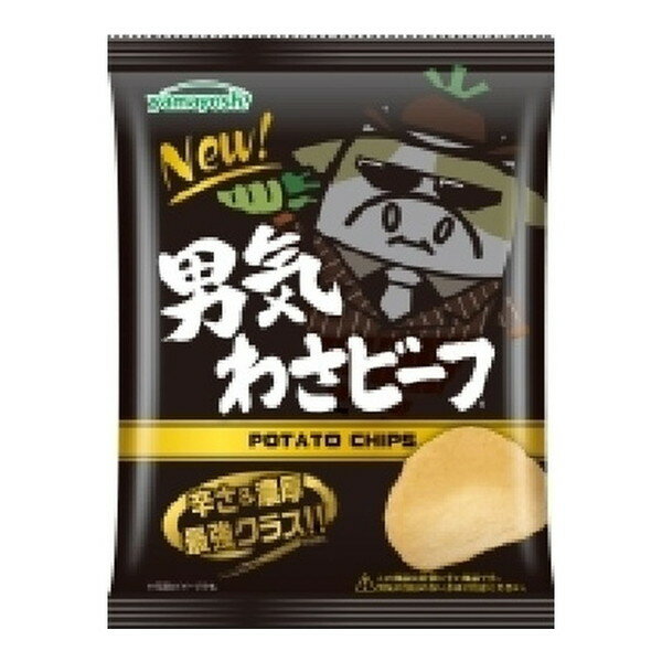 山芳製菓 ポテトチップス 男気わさビーフ 45g ×12 メーカー直送 プレゼント ギフト