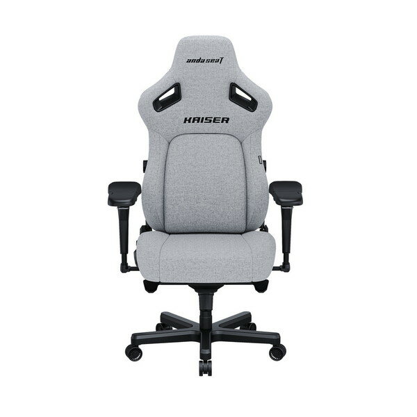 Kaiser4 アッシュ AD12YDDC-L-20-G-CF Andaseat [ゲーミングチェア]