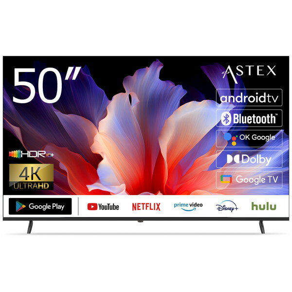 チューナーレス 50型 50GTN Wis 50インチ [50V型 4K Googleチューナーレス 液晶テレビ]