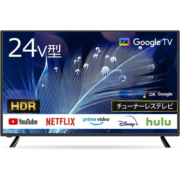 チューナーレステレビ 24型 24GTN Wis 24インチ 24V型 Googleチューナーレス 液晶テレビ エクプラ特選