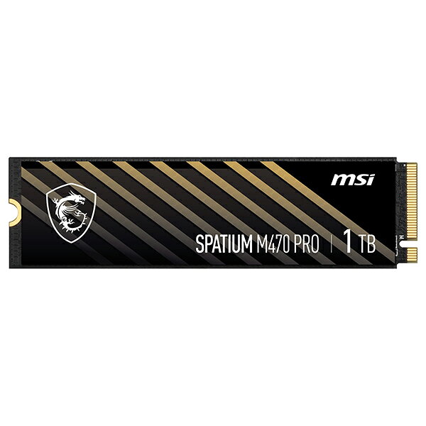 総合通販PREMOA 楽天市場店のSPATIUM M470 Pro PCIe 4.0 NVMe M.2 1TB MSI [内蔵SSD]【KK9N0D18P】｜アングル2