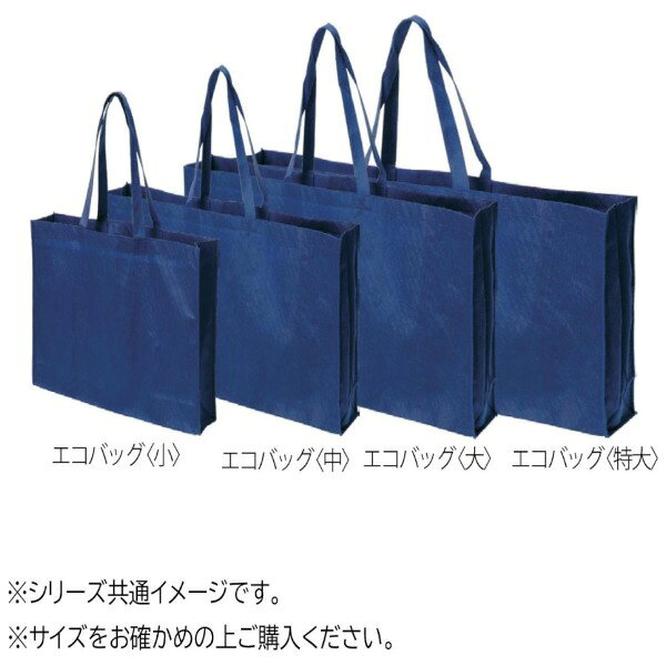 総合通販PREMOA 楽天市場店のエコバッグ 小 10枚入・RA11 スギウラ｜アングル2