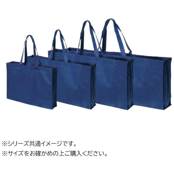 エコバッグ 中 10枚入・RA12 スギウラ