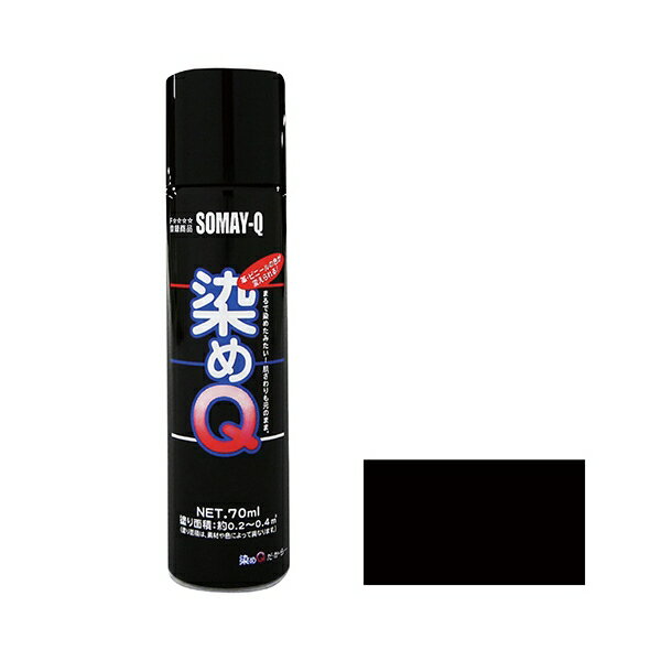 染めQテクノロジィ ミニ染めQエアゾール 70ml ブラック