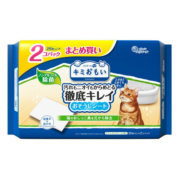 ご注文前にご確認ください※ 商品パッケージや仕様につきまして、予告なく変更されることがございます。商品説明★ ノンアルコール除菌。ナチュラルグリーンの香り。破れにくくてしっかりふける大判厚手のピロータイプ。フロアワイパーにも取り付けられます。★ ふきあとなめても安心。★ 消臭成分カキタンニン配合。ネコちゃんのトイレ臭を除去。ネコちゃんのツンとした排泄臭にニオイのもとから消臭。★ こびりついた汚れもサッとふくだけ!★ 「汚れ落ち・消臭効果・丈夫さ」専用品ならではの仕様満足度。スペック* 成分：水、防腐剤、pH調整剤、除菌剤、界面活性剤、消臭剤、香料* 材質：レーヨン、PET、PP、PE* サイズ/シートサイズ：約30×20cm* 生産国：日本