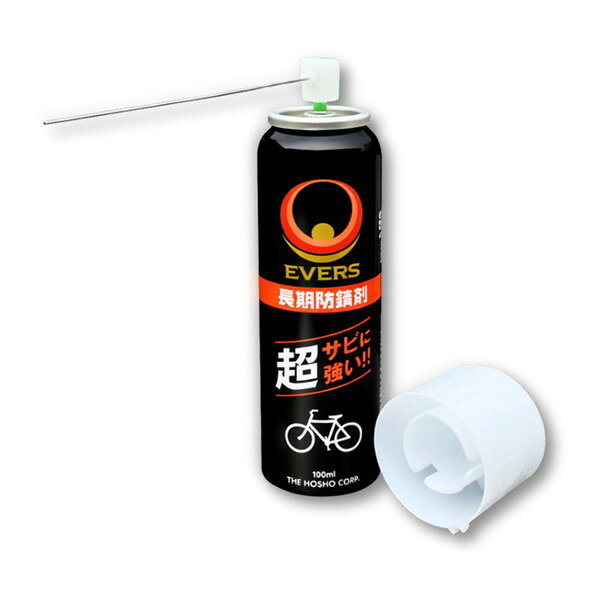 71749 エバーズ 長期防錆剤 100ml 宝商