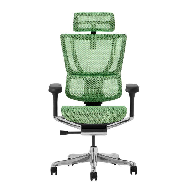 507957 FIT2-HAM-5D-DR-BF-GN 関家具 ブラックフレーム/グリーンメッシュ FIT2 [オフィスチェア] メーカー直送