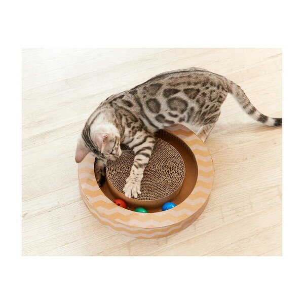 エイムクリエイツ ニャンコロビー サークルタイ...の紹介画像2