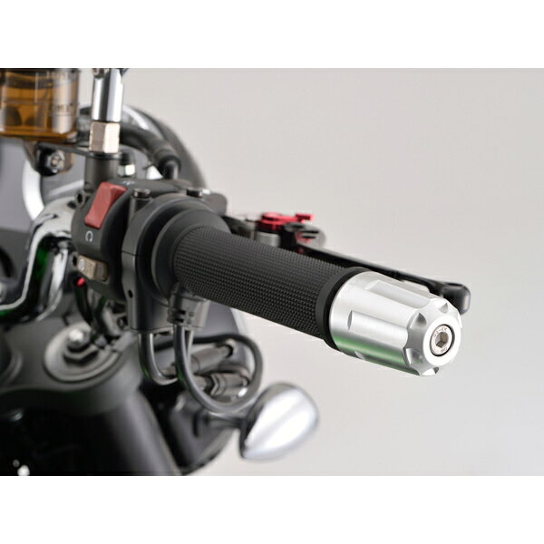デイトナ D17269 ヘビーウエイトバーエンド(リボルバー)KAWASAKI シルバー M8