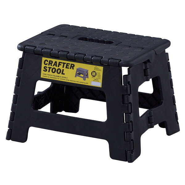 LFS-411BK [�u���b�N]