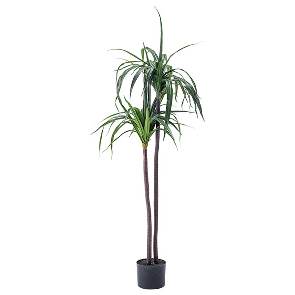 東谷 GRN-15 [フェイクグリーン ドラセナ] メーカー直送