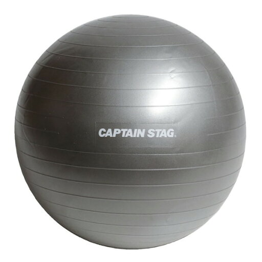 CAPTAIN STAG フィットネスボール φ55 シルバーホワイト UR-0861 Vit Fit CAPTAIN STAG フィットネスボール φ55 シルバーホワイト UR-0861 Vit Fit