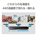 【5/10限定！エントリー＆抽選で最大100%Pバック】 SONY BDZ-FBT6100 [ブルーレイレコーダー(HDD6TB・3番組同時録画)] 新生活 3