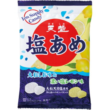 天塩 天塩の塩あめ 大粒しお味&濃い塩レモン味70g ×6 ×8