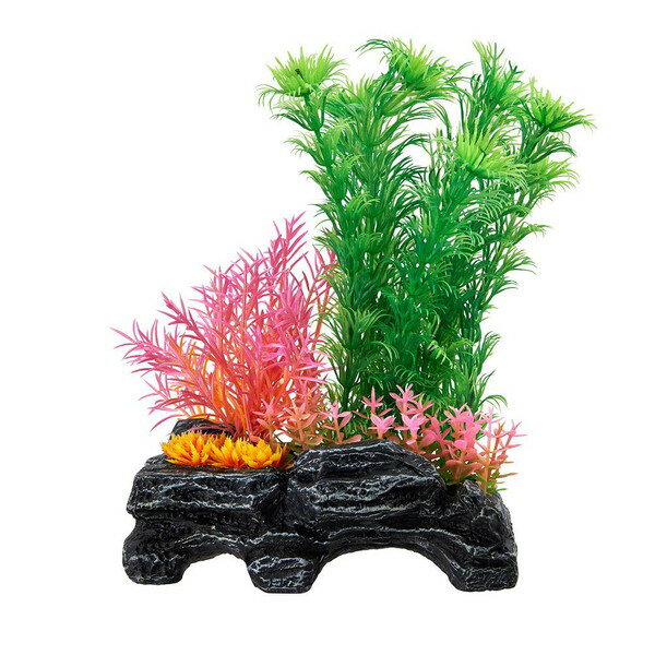 �ޥ륫�� NAP-517��ȥ륬���ǥ�䷿2 �Ѿ޵��� ������