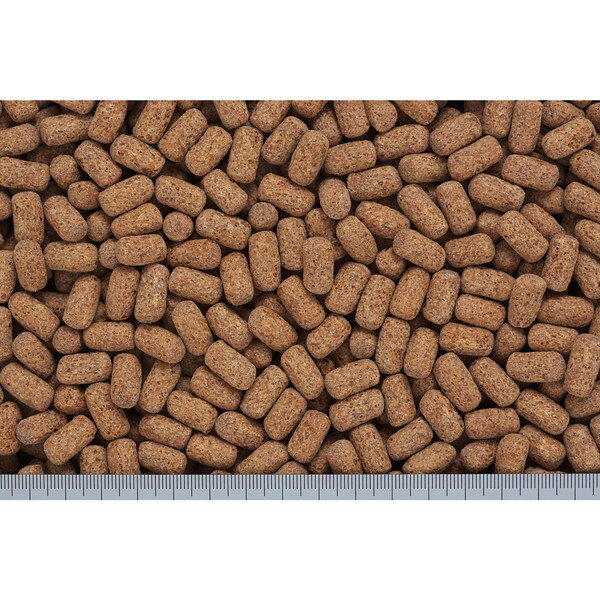 キョーリン カメプロス ヘルスケア 210g