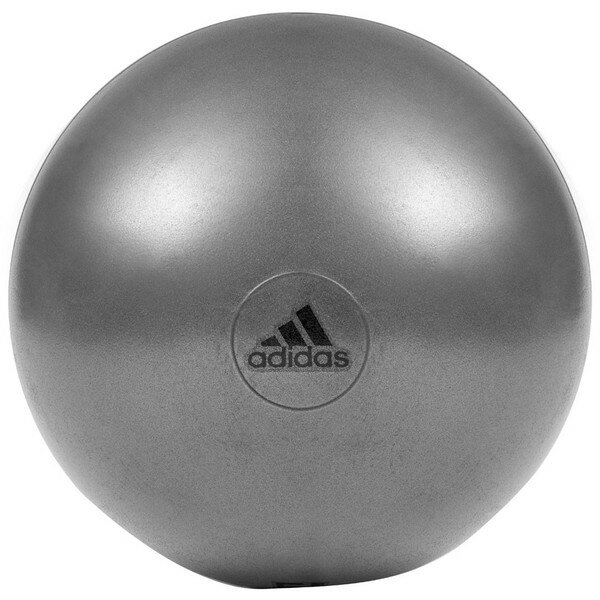 アディダス トレーニング用品 ADBL-11245GR ジムボール55cm グレー ADIDAS