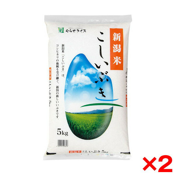 令和五年度産 新潟県産 こしいぶき 10kg(5kg×2) メーカー直送