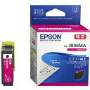 EPSON IB06MA }[_ [CNJ[gbW]